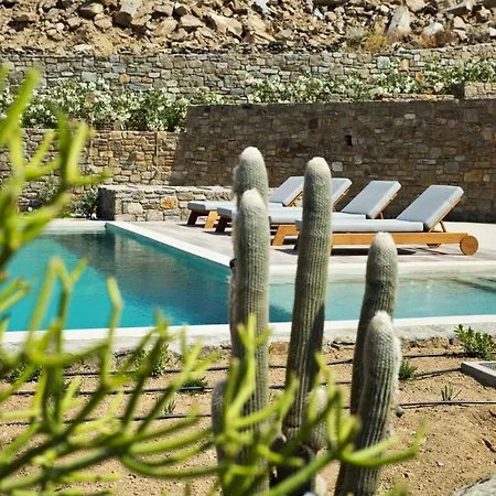 Luxury Mykonos La Isla Bonita Private Gym Private Pool 5 Bedrooms Sea View וילה
