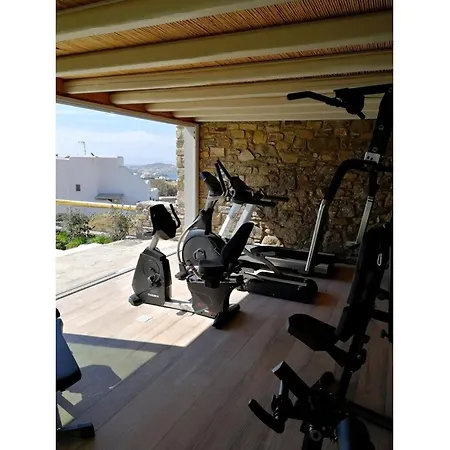 Luxury Mykonos La Isla Bonita Private Gym Private Pool 5 Bedrooms Sea View וילה *