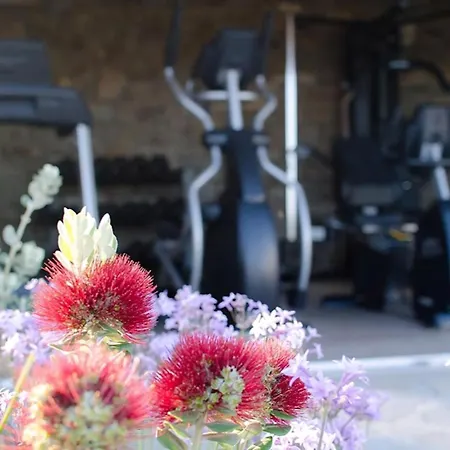 Luxury Mykonos La Isla Bonita Private Gym Private Pool 5 Bedrooms Sea View